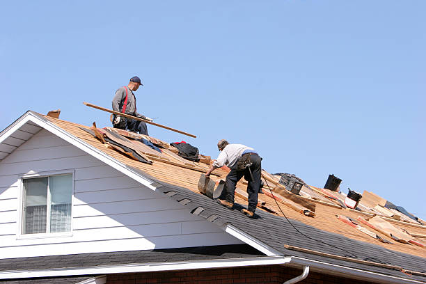 Best Roof Insulation Installation  in Kersey, CO